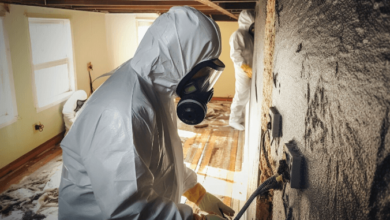 Mold Remediation Services for a Safe, Healthy Home