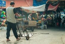 market trends of stellar