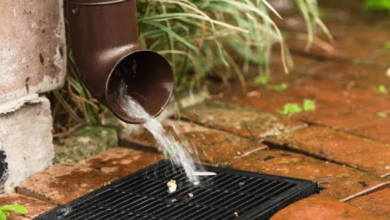 Early Warning Signs Your Killara Property Has A Drainage Problem