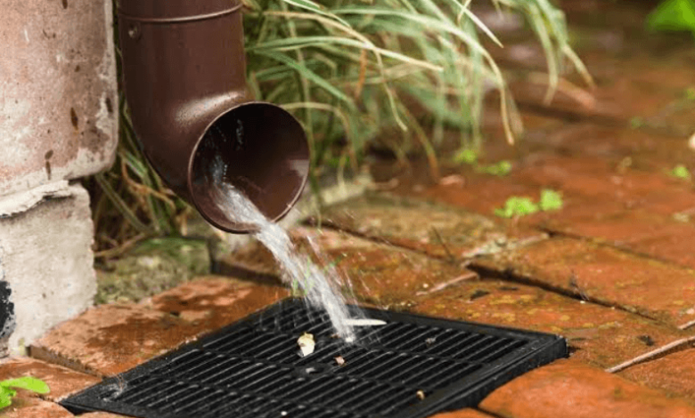 Early Warning Signs Your Killara Property Has A Drainage Problem